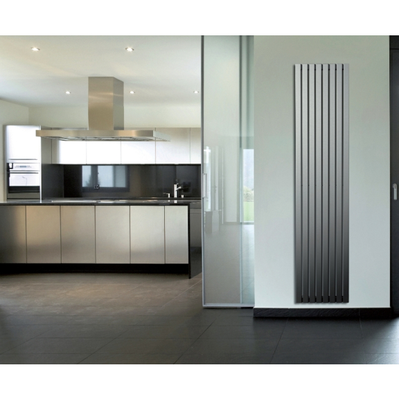 ISAN Form Inox Edelstahlheizkörper